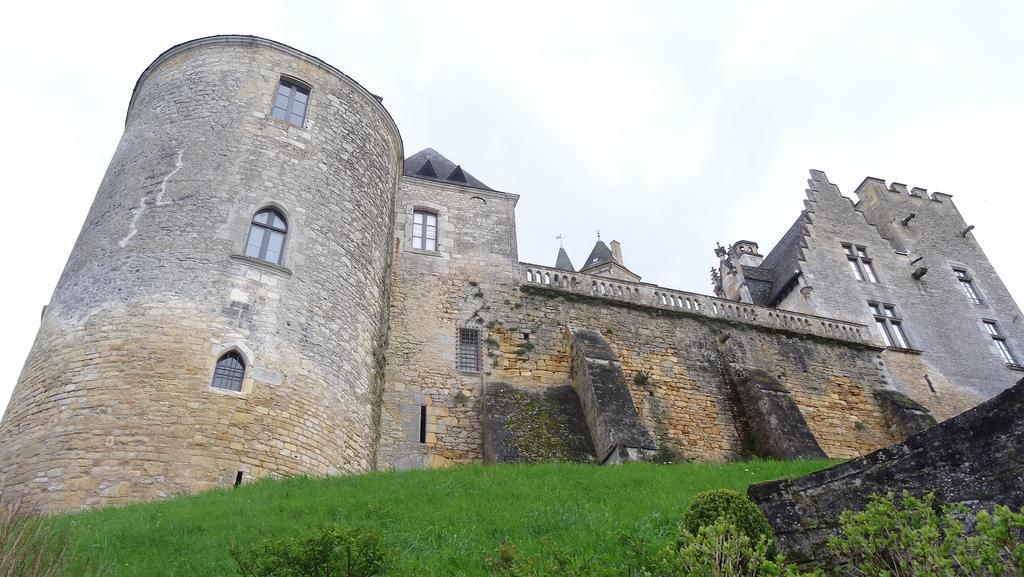 Au Pied Du Chateau - 5 A 11 Personnes - Baignade-Canoe-Piste Cyclable A 100 M Castelnaud La Chapelle Ruang foto