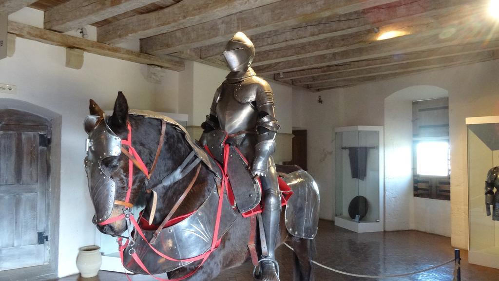 Au Pied Du Chateau - 5 A 11 Personnes - Baignade-Canoe-Piste Cyclable A 100 M Castelnaud La Chapelle Bagian luar foto