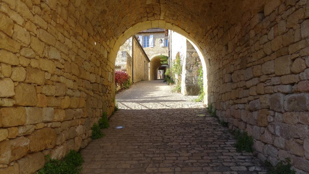 Au Pied Du Chateau - 5 A 11 Personnes - Baignade-Canoe-Piste Cyclable A 100 M Castelnaud La Chapelle Bagian luar foto