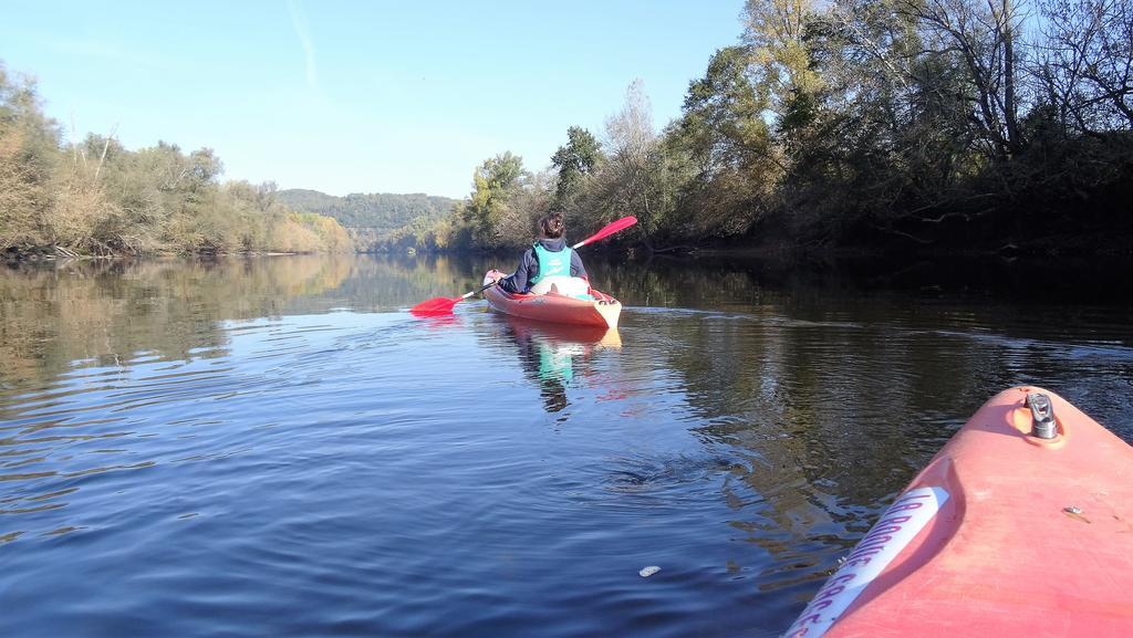 Au Pied Du Chateau - 5 A 11 Personnes - Baignade-Canoe-Piste Cyclable A 100 M Castelnaud La Chapelle Bagian luar foto