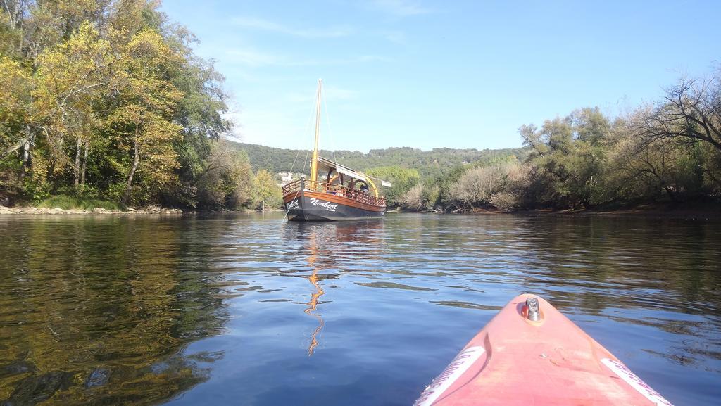Au Pied Du Chateau - 5 A 11 Personnes - Baignade-Canoe-Piste Cyclable A 100 M Castelnaud La Chapelle Bagian luar foto